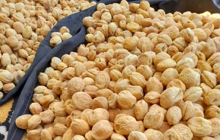 Apricot