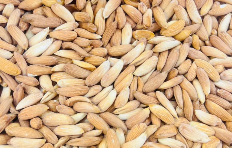 almond